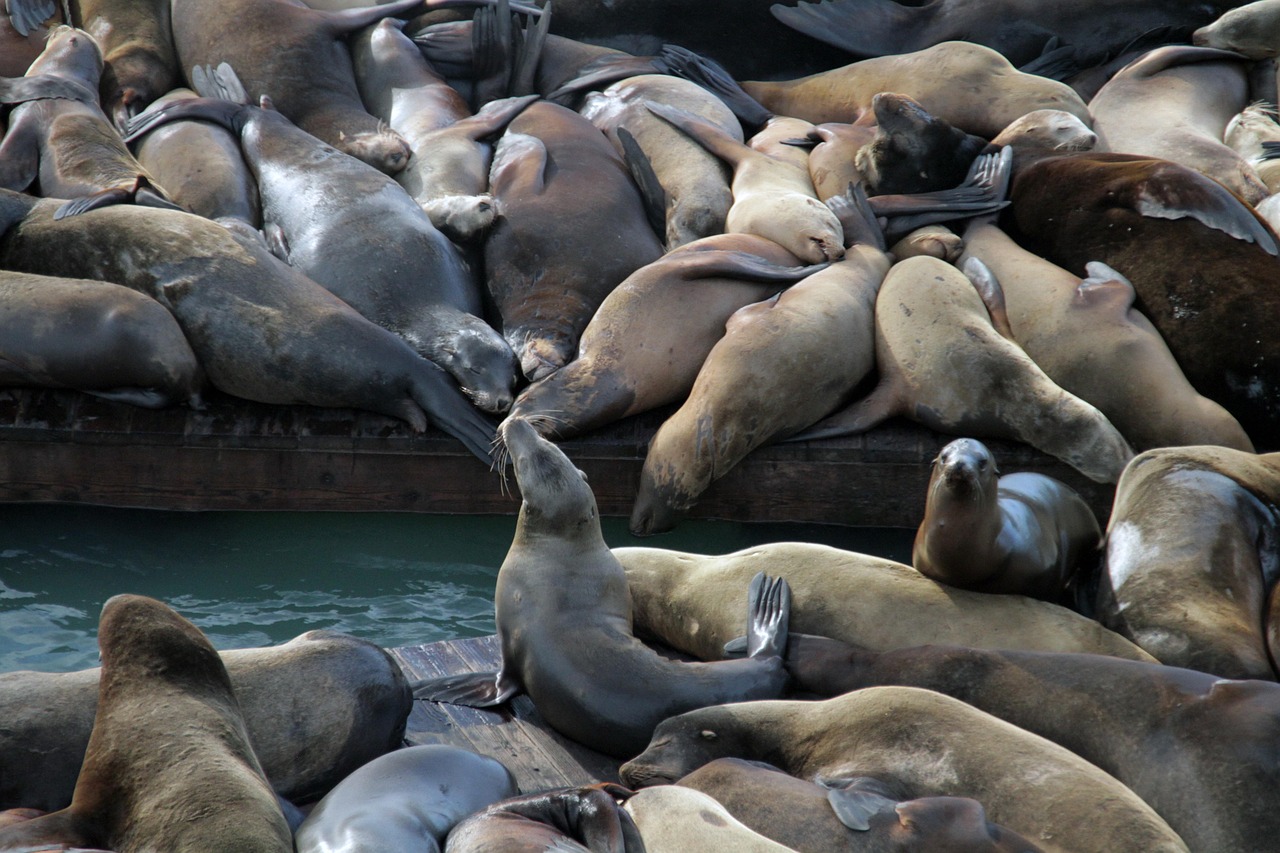在一些网游中，技术支持成就了哪些传奇人物？