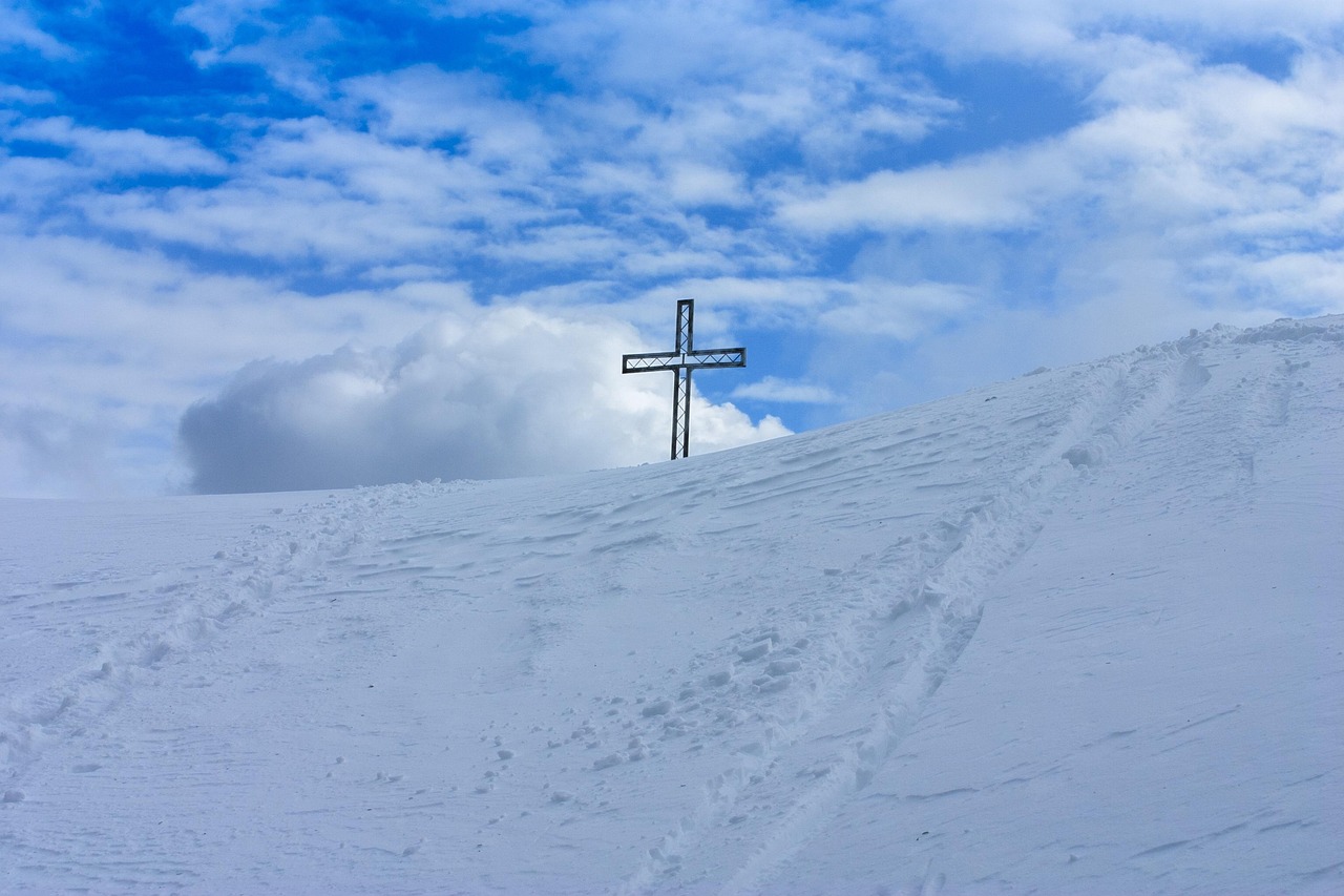 中免555水蜜桃双爆珠：网络平台代理怎么取消