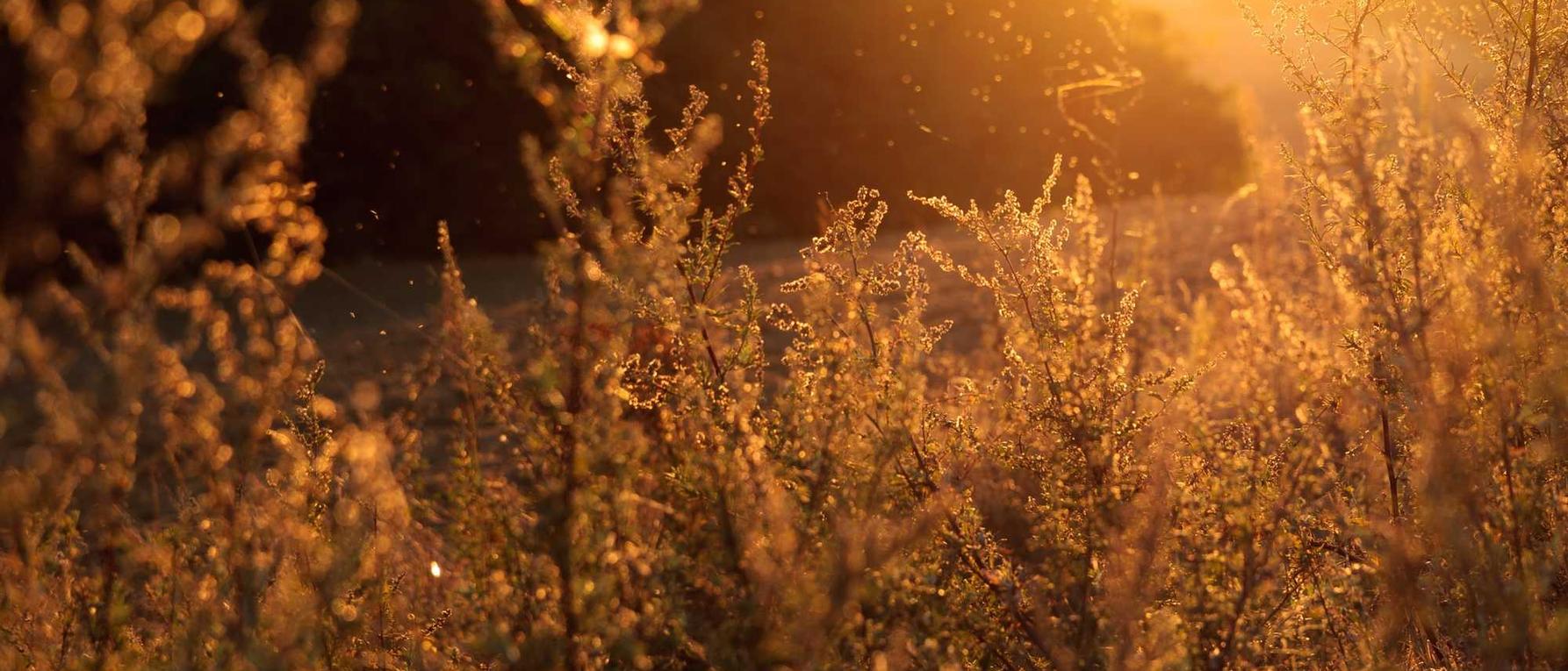 剑网3指尖对弈：莲湖区注册公司代理