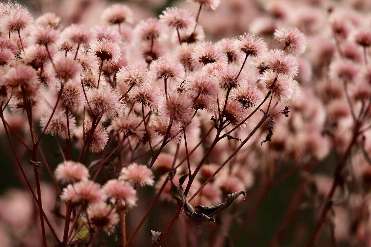 飞网ip实名账号:流量卡共享使用,可以吗?如何设置?