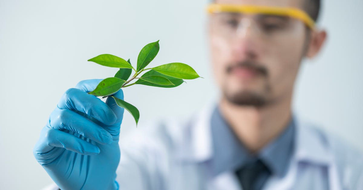 阿里通信实名账号：流量卡的精品套餐及畅享服务介绍