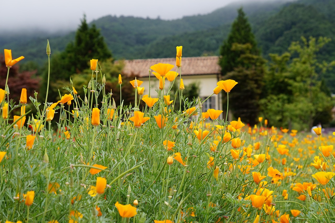 信时空实名账号:流量卡的延迟问题:怎样缓解延迟问题?