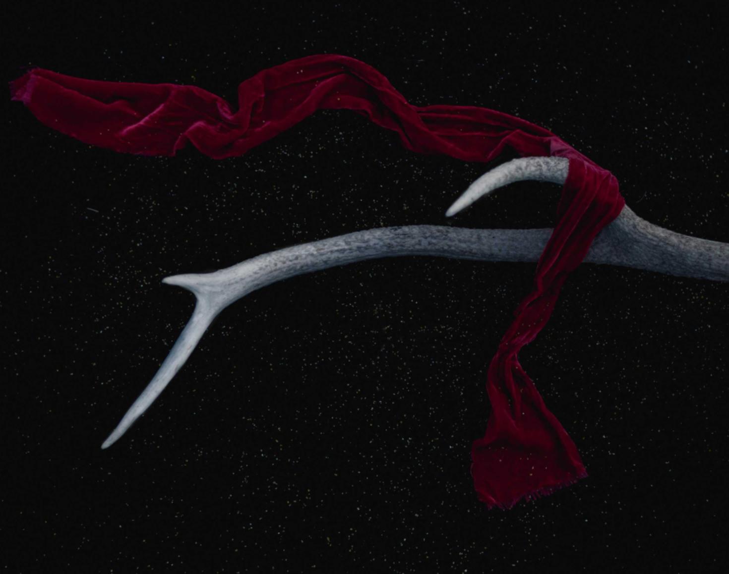 欧亚云实名账号：实名账号对于志愿者服务的支持