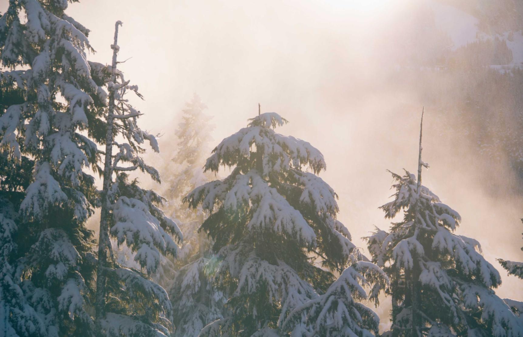 人脸实名账号：上海秦淮公司注册代理