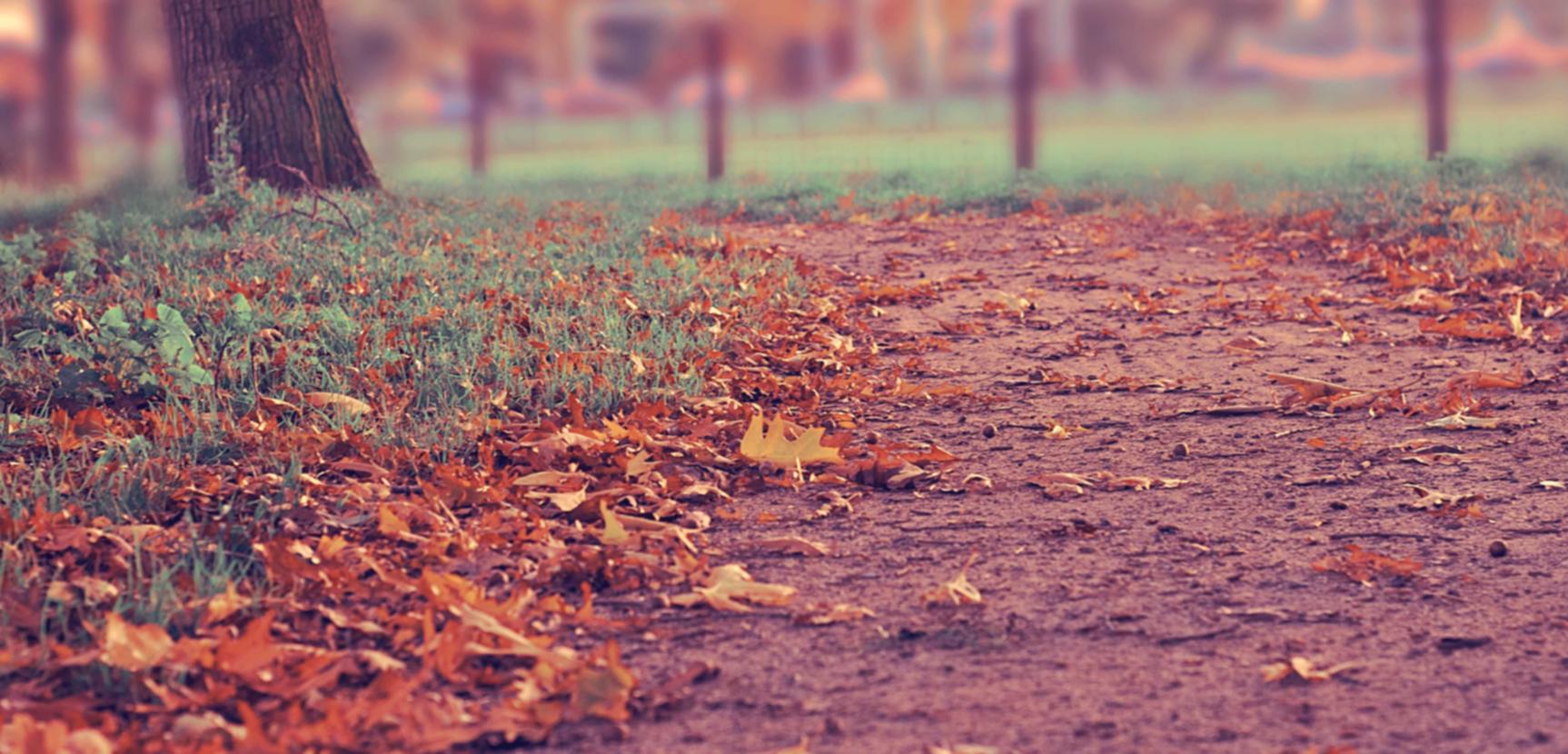 聚名实名账号：草莓视频app详情下载教程 tw