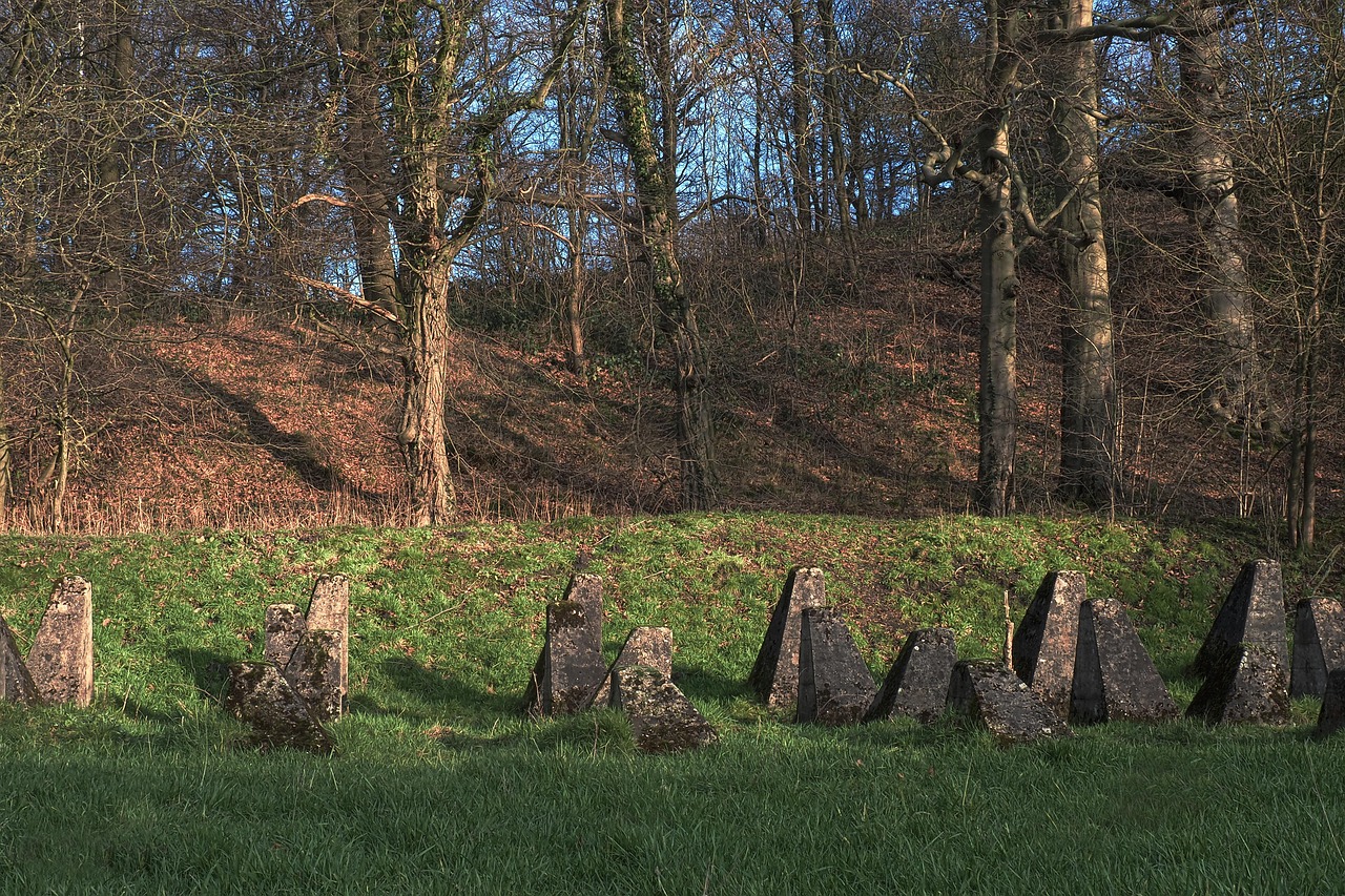 彩虹六号：围攻：iso音乐app详情下载教程