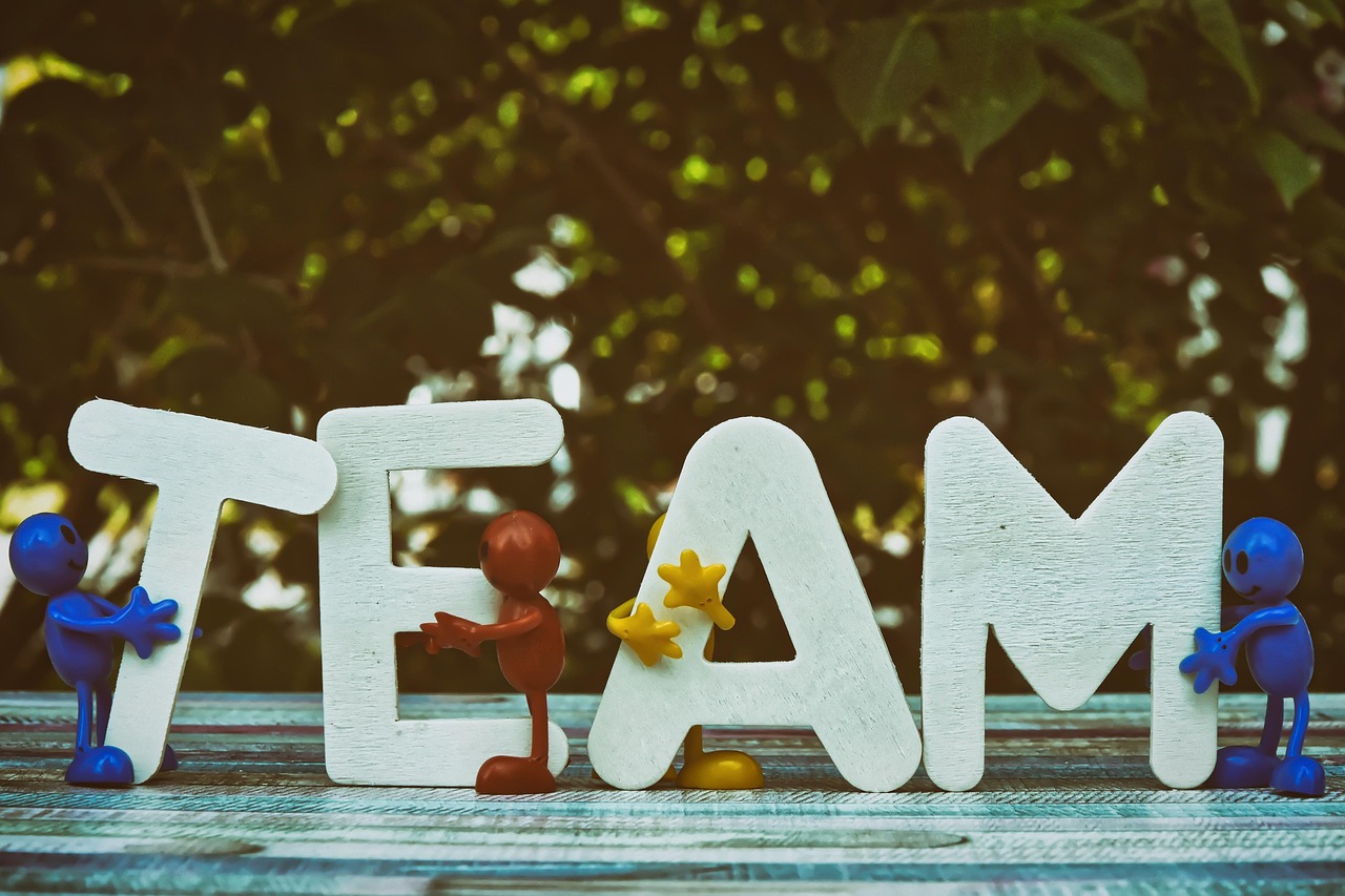 0月租流量卡：代理女装直播平台