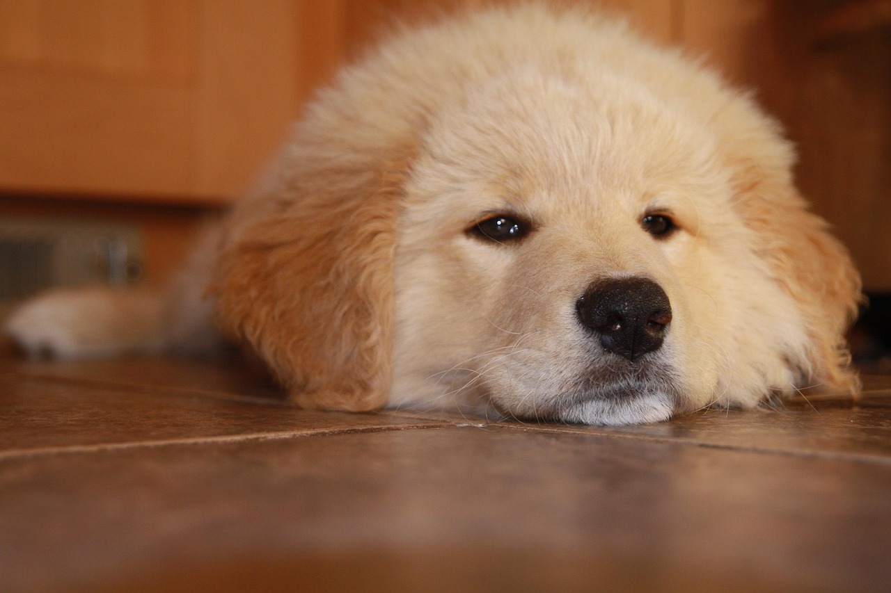 cc网页端|黑客攻击与智能制造的关系